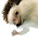 hahaidk Discord emoji