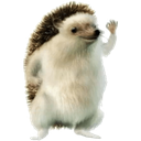 hahayesfull Discord emoji
