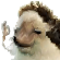 hahawtf Discord emoji