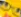 drugsduck drugsduck