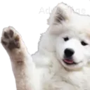 Heya
