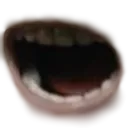 sonicmouth