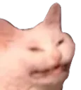 angrycat