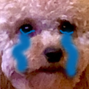 DogsOfDiscord_2_DaisySaddu Discord emoji