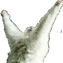 PRAISEBE PRAISEBE