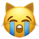 sob_cat