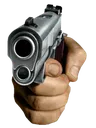Gun