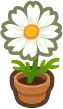 flower flower