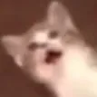 ket