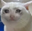 sadtimes sadtimes