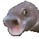 Pogfish Discord Emoji