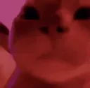 DiscoCat