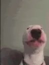walter2