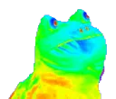 RainbowFrog