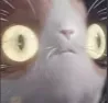 O_o