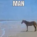 manhorse