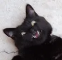 Catastrophe_aaa