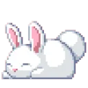 BunBun