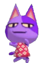 bobdance