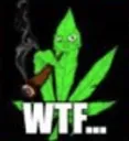 wtf