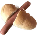 wotdog