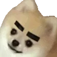 eyeBrows