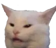 Whitecat whitecat Discord Emoji
