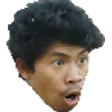 pogfruit Discord Emoji