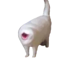 mouthcatto