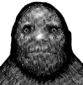 disturbed
