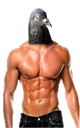 Palomero_Mamado