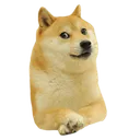 doge