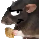ratsneak