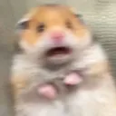 scared scared