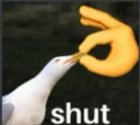 TE_shut