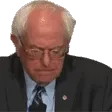BernieWink