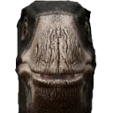struthio
