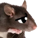 ratsad