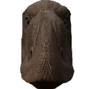barsboldia