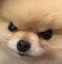 angery
