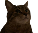 crunchy Discord emoji