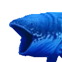 fishpog fishpog