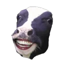 herocow