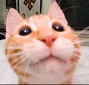 elgato elgato