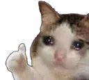 cryThumb