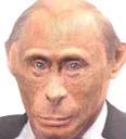 apestogetherstrong