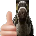 camptothumbsup camptothumbsup