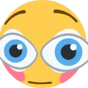 LookingFlushed