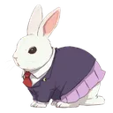 bunmy