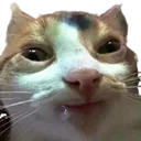 instantcoffee instantcoffee